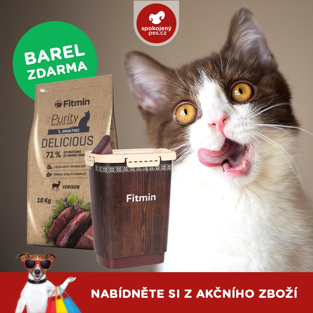 cat fitmin.webp
